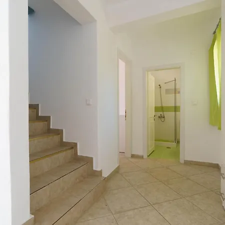 Lion * Nikiti (Sithonia)